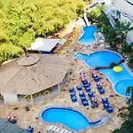 Flet Golden Dophin