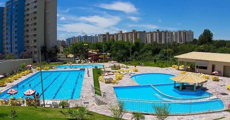 Flet Golden Dophin