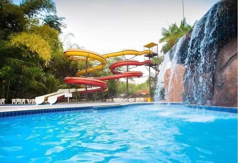 Flet Golden Dophin *